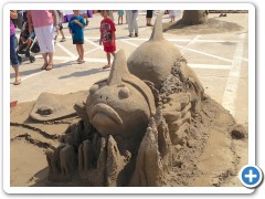 picture-12